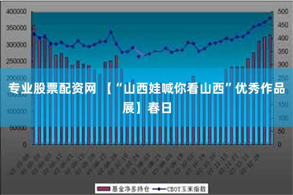 专业股票配资网 【“山西娃喊你看山西”优秀作品展】春日