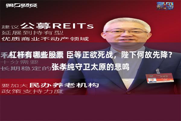 杠杆有哪些股票 臣等正欲死战，陛下何故先降？张孝纯守卫太原的悲鸣