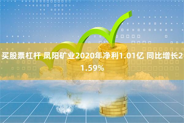 买股票杠杆 凤阳矿业2020年净利1.01亿 同比增长21.59%