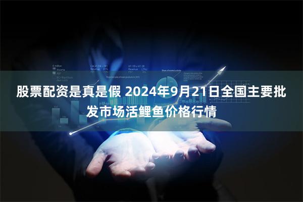 股票配资是真是假 2024年9月21日全国主要批发市场活鲤鱼价格行情