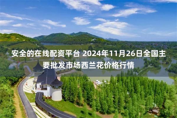 安全的在线配资平台 2024年11月26日全国主要批发市场西兰花价格行情