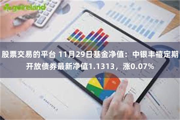 股票交易的平台 11月29日基金净值：中银丰禧定期开放债券最新净值1.1313，涨0.07%