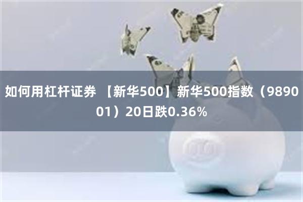 如何用杠杆证券 【新华500】新华500指数（989001）20日跌0.36%