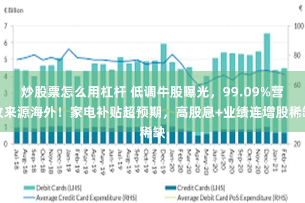 炒股票怎么用杠杆 低调牛股曝光，99.09%营收来源海外！家电补贴超预期，高股息+业绩连增股稀缺