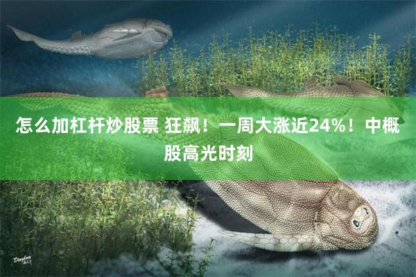 怎么加杠杆炒股票 狂飙！一周大涨近24%！中概股高光时刻