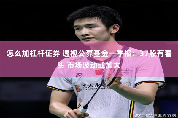 怎么加杠杆证券 透视公募基金一季报：37股有看头 市场波动或加大