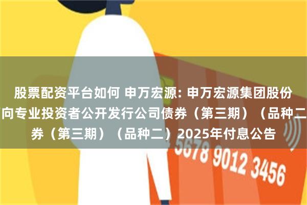 股票配资平台如何 申万宏源: 申万宏源集团股份有限公司2021年面向专业投资者公开发行公司债券（第三期）（品种二）2025年付息公告