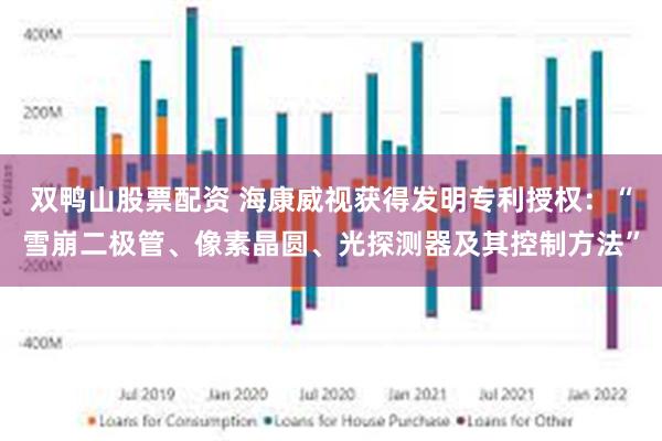 双鸭山股票配资 海康威视获得发明专利授权：“雪崩二极管、像素晶圆、光探测器及其控制方法”